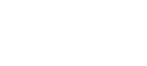 The Insight Partnership